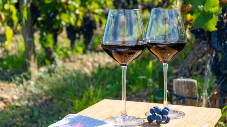 Descubre Château Le Puy: Historia, Biodinámica y la Excelencia del Vino de Bordeaux