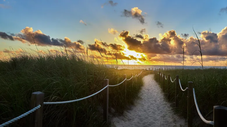 Descubre Delray Beach, Florida: El Oasis Costero con Arte y Encanto Evergeen