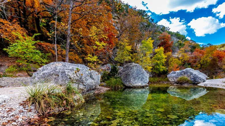 Descubre el Encanto Natural: Una Guía Imprescindible de Texas Hill Country