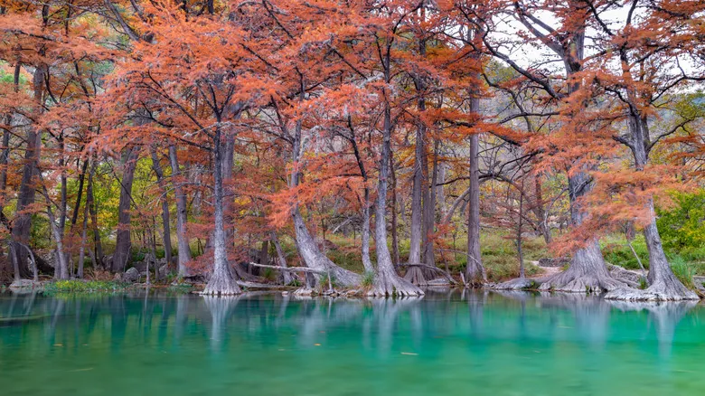 Descubre el Encanto Natural: Una Guía Imprescindible de Texas Hill Country