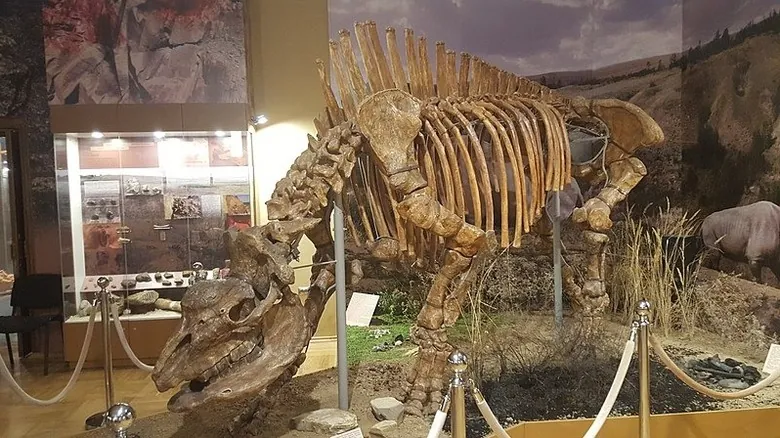 Descubre las Criaturas Terrestres Prehistóricas Más Imponentes: Un Viaje al Pasado