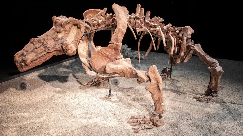 Descubre las Criaturas Terrestres Prehistóricas Más Imponentes: Un Viaje al Pasado
