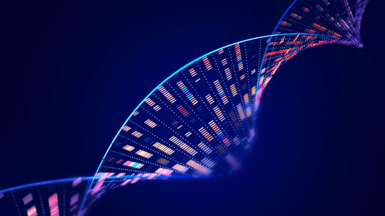 Descubre Por Qué Eres un Búho Nocturno: La Ciencia Detrás del Gen CRY1 y el Reloj Circadiano