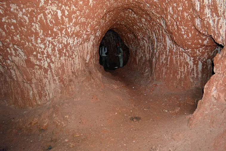 Descubren Megatúneles Prehistóricos en Brasil: La Imponente Obra del Perezoso Gigante