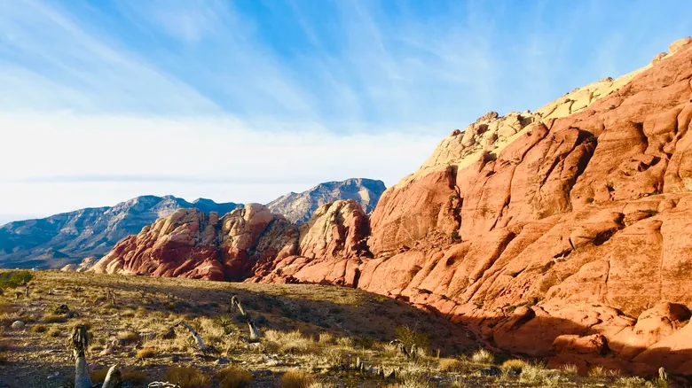 Descubriendo Fósiles: Los Mejores Yacimientos Prehistóricos en Estados Unidos para Exploradores