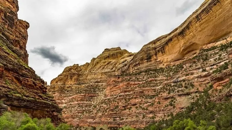 Descubriendo Fósiles: Los Mejores Yacimientos Prehistóricos en Estados Unidos para Exploradores