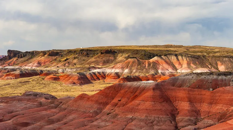 Descubriendo Fósiles: Los Mejores Yacimientos Prehistóricos en Estados Unidos para Exploradores