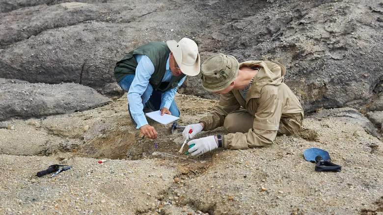 Descubriendo los Dinosaurios Más Pequeños: Una Mirada a los Gigantes Minúsculos del Pasado