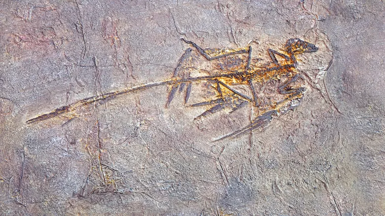 Descubriendo los Dinosaurios Más Pequeños: Una Mirada a los Gigantes Minúsculos del Pasado