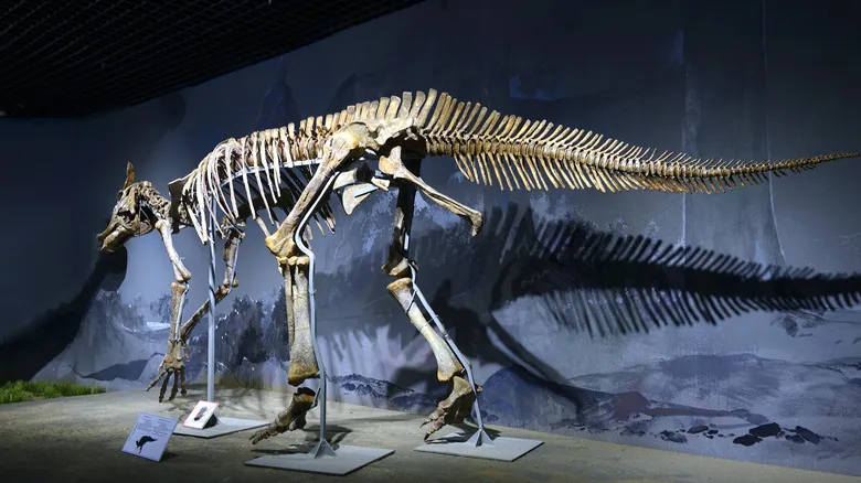 Descubrimiento Asombroso: Huellas Fósiles Revelan un Saurolophus Más Grande que el Tiranosaurio Rex