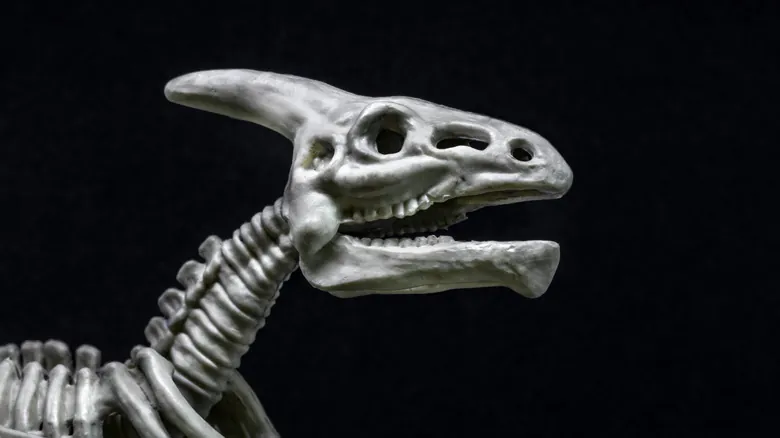 Descubrimiento Asombroso: Huellas Fósiles Revelan un Saurolophus Más Grande que el Tiranosaurio Rex