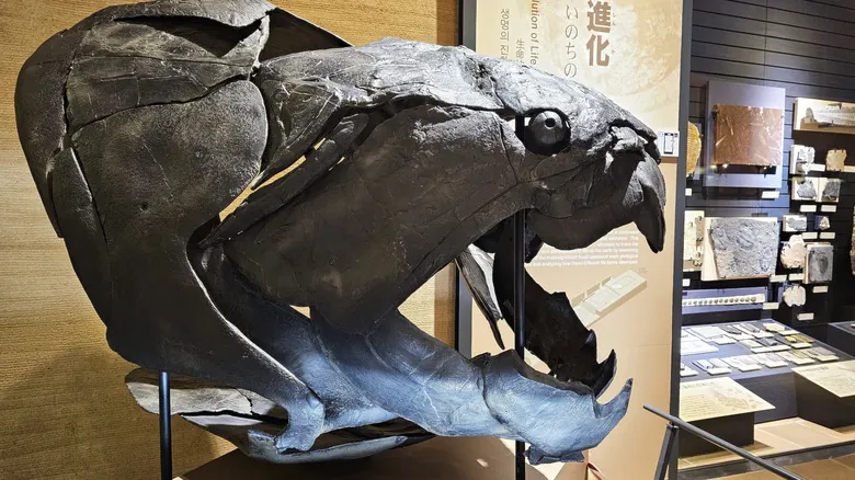 Dunkleosteus: El Aterrador Depredador Prehistórico que Dominó los Océanos Antiguos