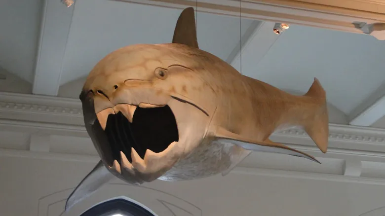 Dunkleosteus: El Aterrador Depredador Prehistórico que Dominó los Océanos Antiguos