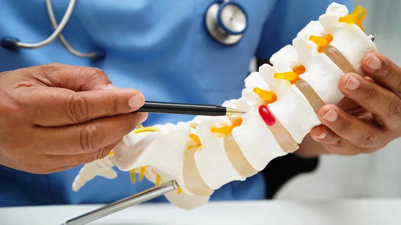 El Cóccix Humano: Descubriendo la Verdadera Utilidad de Nuestra Estructura Vestigial