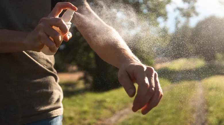 El Dilema de los Mosquitos: ¿Una Bendición Oculta o una Amenaza Incesante?