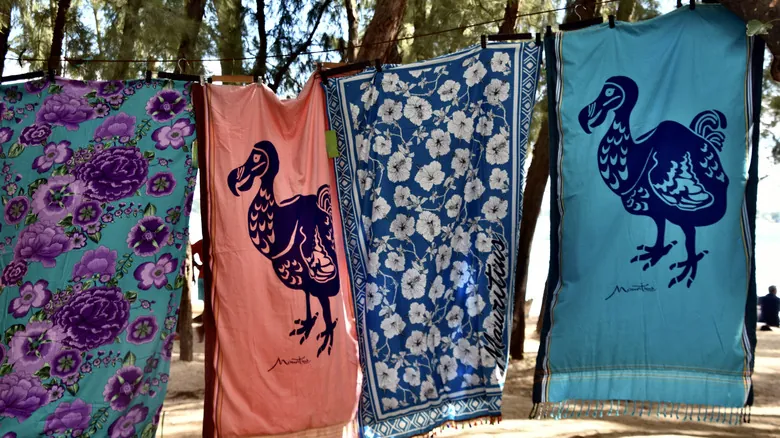 El Dodo: Desentrañando la Verdadera Historia de su Extinción y su Legado de Conservación