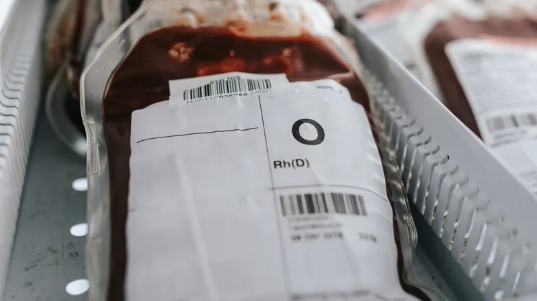 El Enigma Sanguíneo: ¿Cuánta Sangre Tenemos y Cómo se Regenera Nuestro Cuerpo?