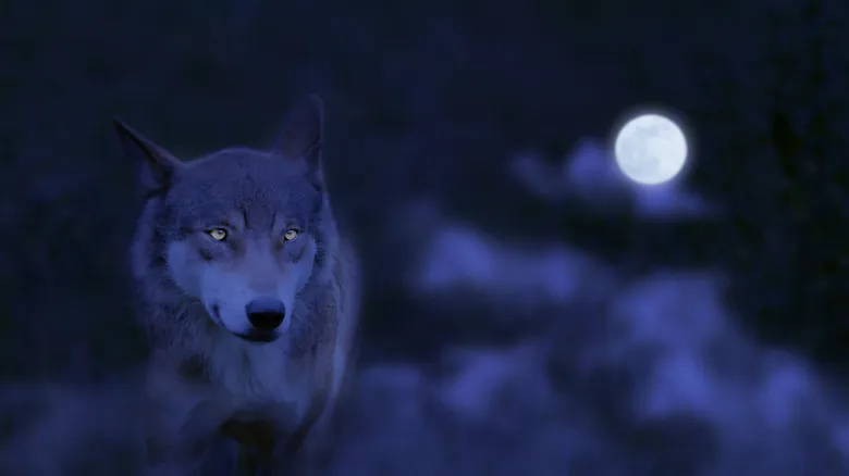 El Impacto Crucial de la Luna en la Tierra: Un Análisis de Qué Pasaría Sin Ella