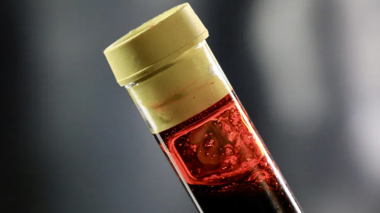 El Impacto Oculto de tu Tipo de Sangre: Claves para Entender tu Salud y el Sistema Inmune