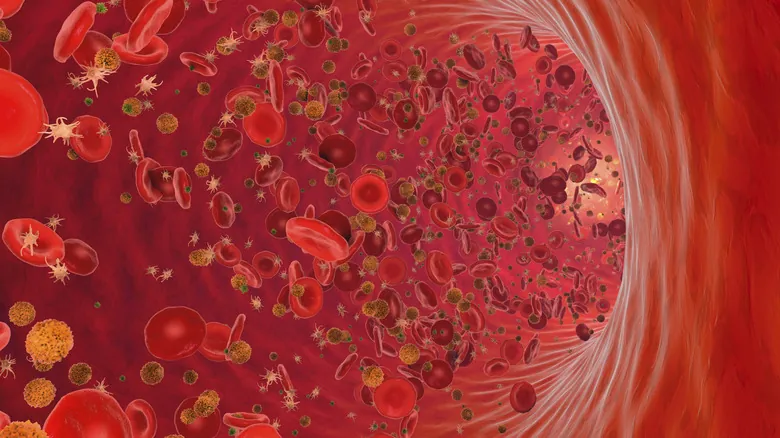 El Impacto Oculto de tu Tipo de Sangre: Claves para Entender tu Salud y el Sistema Inmune