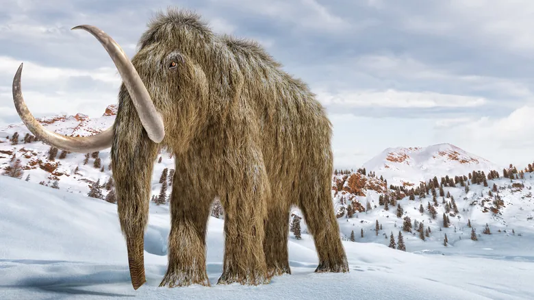 El Legado Oculto del Mamut Lanudo: ¿Qué Pasaría Si Hubiera Sobrevivido a la Era de Hielo?