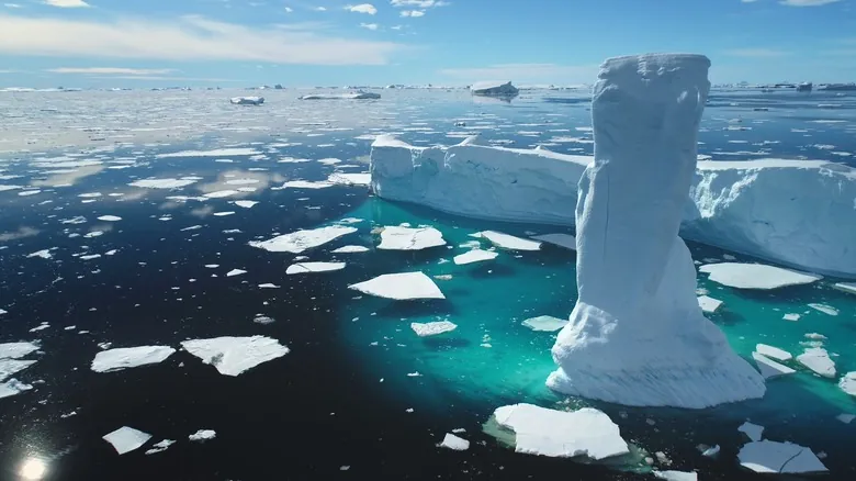 El Legado Oculto del Mamut Lanudo: ¿Qué Pasaría Si Hubiera Sobrevivido a la Era de Hielo?