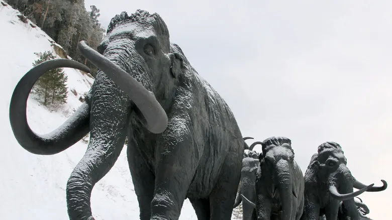 El Legado Oculto del Mamut Lanudo: ¿Qué Pasaría Si Hubiera Sobrevivido a la Era de Hielo?