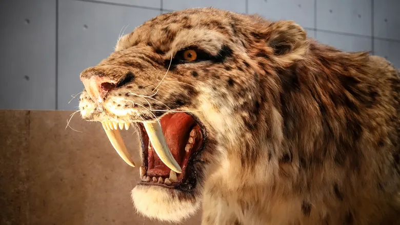 El Legado Oculto del Mamut Lanudo: ¿Qué Pasaría Si Hubiera Sobrevivido a la Era de Hielo?