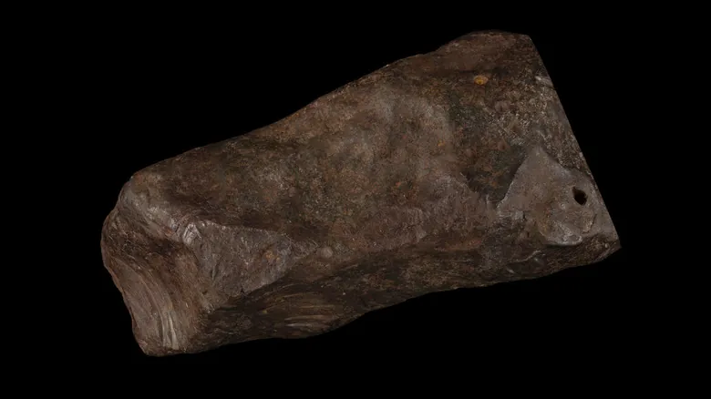 El Meteorito Maryborough: Un Viaje de 4.6 Mil Millones de Años Revelado por un Prospector