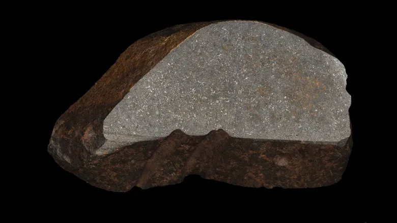 El Meteorito Maryborough: Un Viaje de 4.6 Mil Millones de Años Revelado por un Prospector
