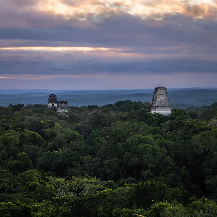 El Mirador: La Antigua Ciudad Maya que Redefine la Historia Preclásica de Mesoamérica