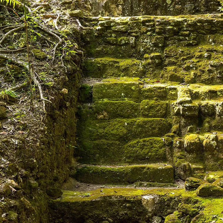 El Mirador: La Antigua Ciudad Maya que Redefine la Historia Preclásica de Mesoamérica