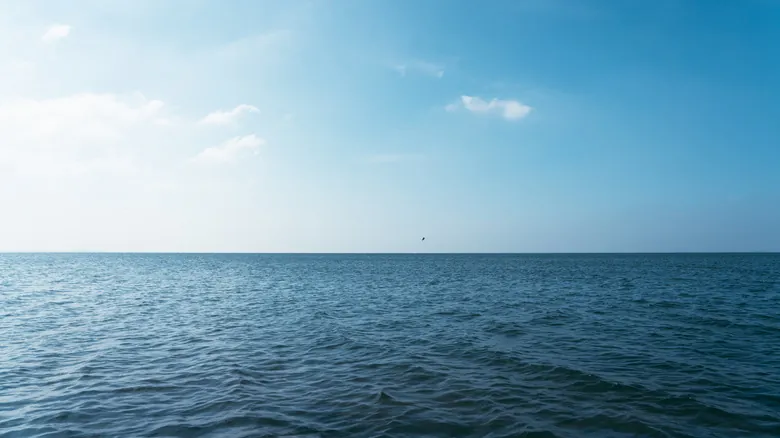 El Misterio de la Sal: ¿Por Qué los Océanos Son Salados y los Lagos No?