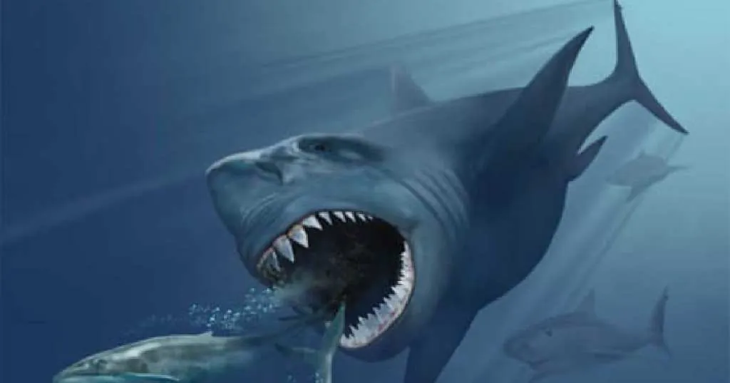 El Misterio del Megalodón: ¿Sigue Vivo en las Profundidades Marinas?