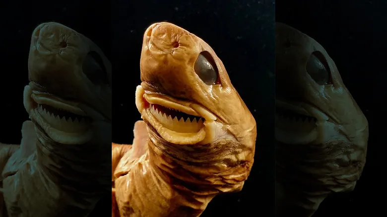El Misterioso Tiburón Cortador de Galletas: Un Depredador Parásito del Océano Profundo