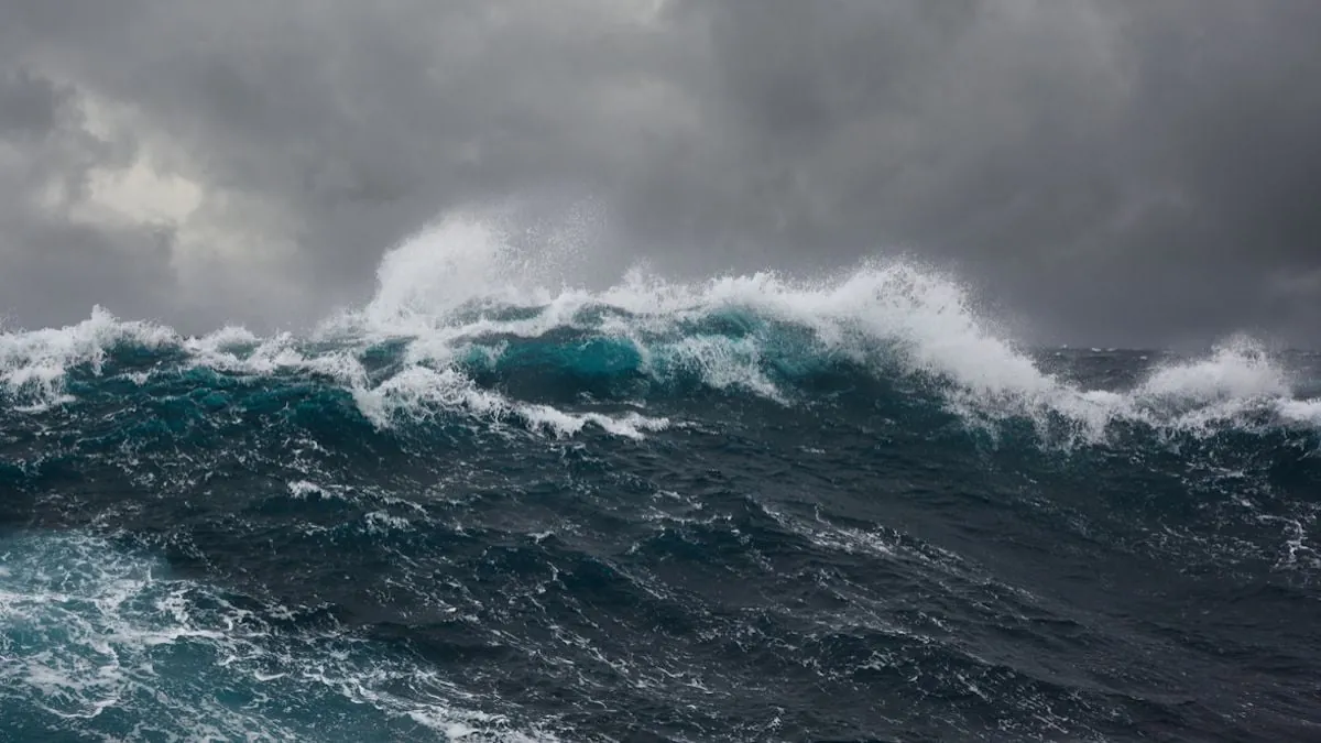 Océanos se Oscurecen: Un Alarma Global para la Vida Marina