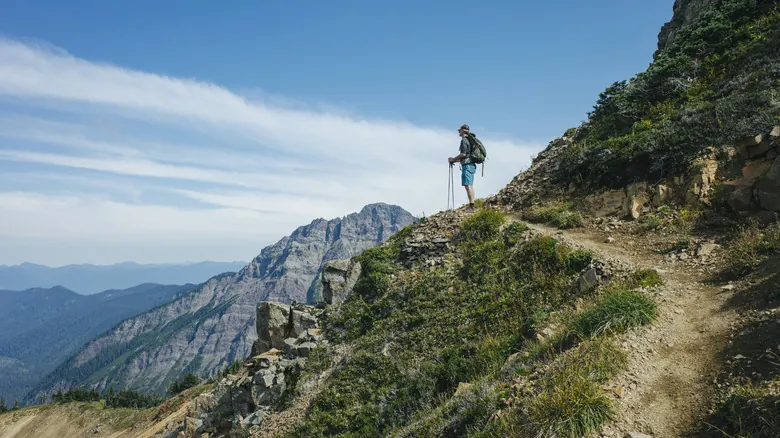 El Pacific Crest Trail: Complicaciones y Opciones en la Frontera Norte con Canadá