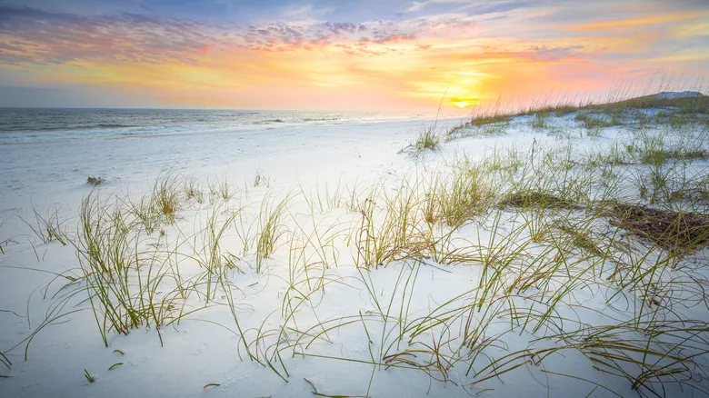 El Panhandle de Florida: Un Paraíso Escondido de Playas, Naturaleza y Aventura