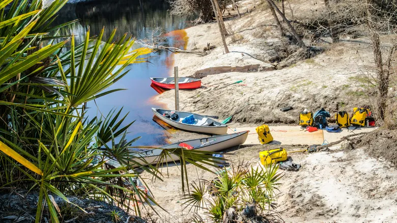 El Panhandle de Florida: Un Paraíso Escondido de Playas, Naturaleza y Aventura