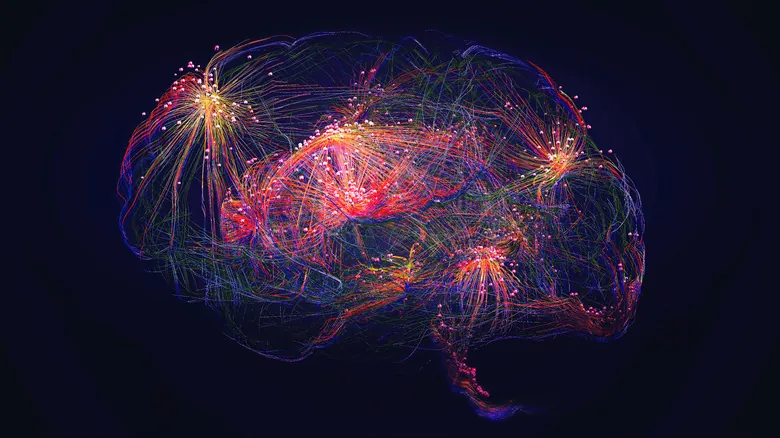 El Primer Mapa Completo del Cerebro de la Mosca de la Fruta: Un Hito para la Investigación Neurológica