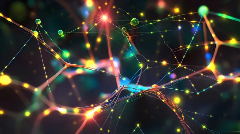 El Primer Mapa Completo del Cerebro de la Mosca de la Fruta: Un Hito para la Investigación Neurológica