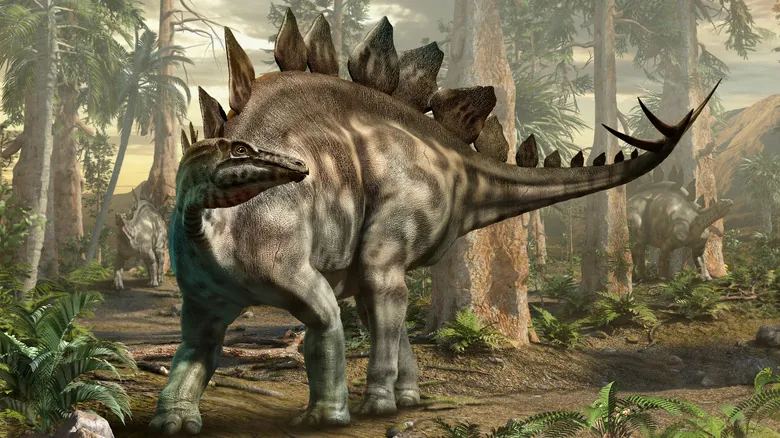 El Stegosaurus: Desentrañando el Enigma de Sus Placas Dorsales y su Lugar en la Paleontología