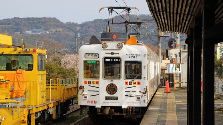 El Tren de Gatos Tama: Un Viaje Encantador por la Campiña de Wakayama, Japón