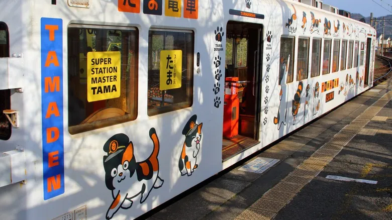 El Tren de Gatos Tama: Un Viaje Encantador por la Campiña de Wakayama, Japón