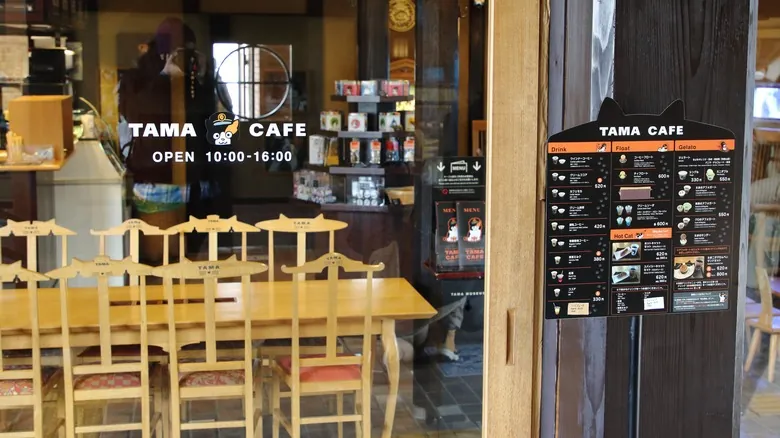 El Tren de Gatos Tama: Un Viaje Encantador por la Campiña de Wakayama, Japón