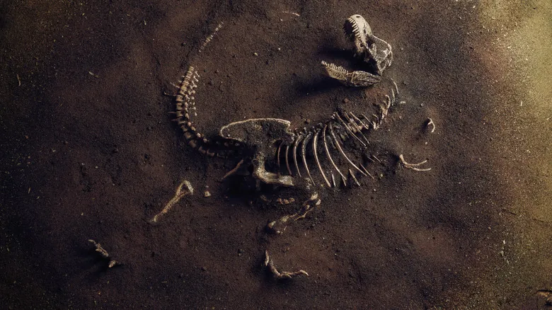 El Tyrannosaurus Rex en la Actualidad: Explorando un Mundo con el Dinosaurio Más Famoso