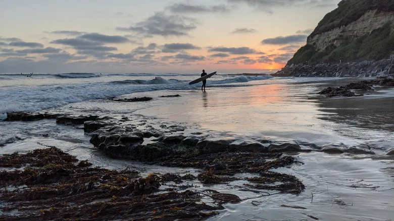 Encinitas, California: Un Viaje a la Auténtica Cultura Surf y la Vida Costera