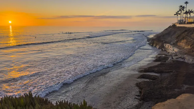 Encinitas, California: Un Viaje a la Auténtica Cultura Surf y la Vida Costera