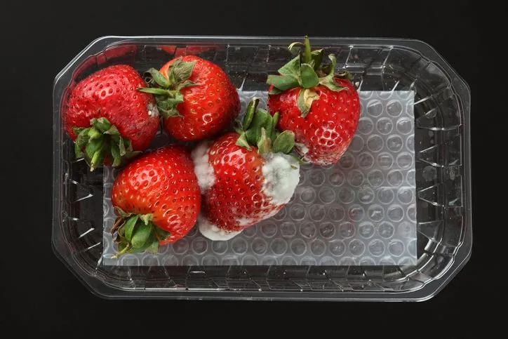 ¿Es Seguro Comer Moho en Alimentos? Guía Completa y Riesgos