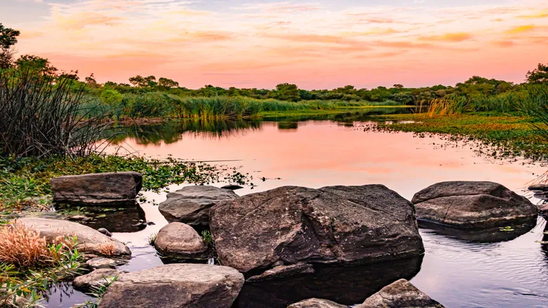 Escapada Natural en San Diego: Descubre el Camping Kumeyaay Lake y sus Senderos